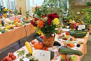 výstava ovoce, zeleniny a květin