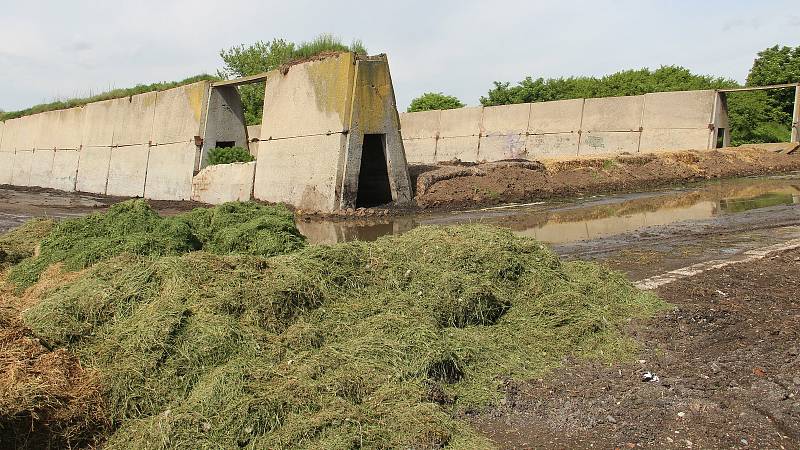 Brownfield nad Slavonínem, květen 2021