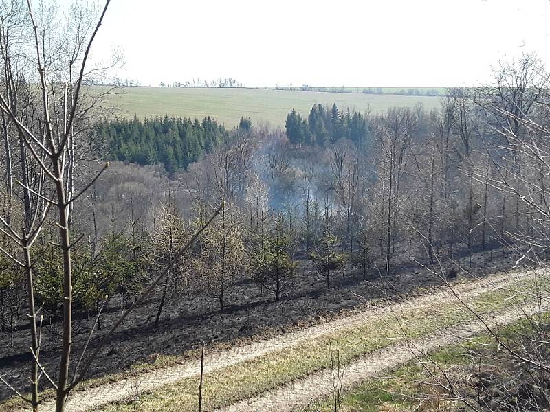 Hasiči během pondělí 6. dubna likvidovali požáry na devíti místech Olomouckého kraje. Požár u Huzové.