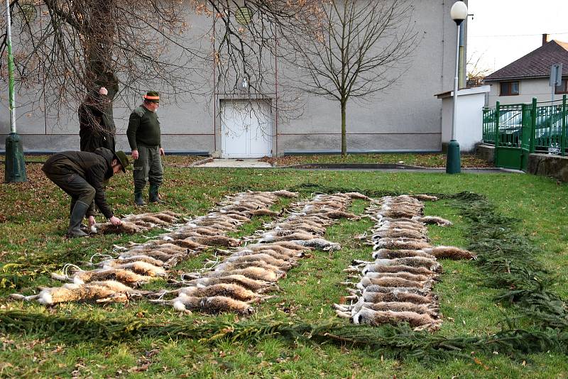 Myslivci na sobotním honu v okolí Senice na Hané ulovili 96 zajíců. Honu se zúčastnilo přes 60 střelců