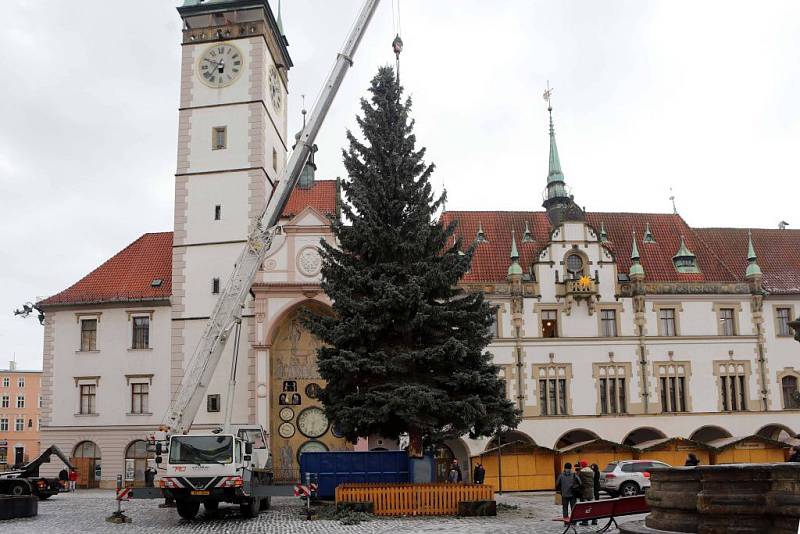 Kácení vánočního stromu v Olomouci