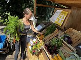 Mladí farmáři v Olomouci otevřeli samoobslužný stánek s čerstvou zeleninou bez chemie. Denně jsou v nabídce i vejce nebo květiny. Platí se do kasičky.