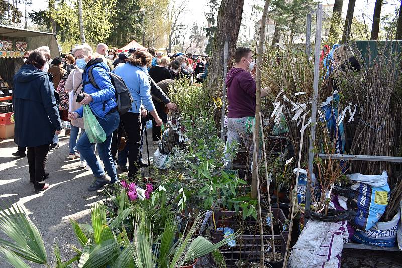 První Zahradnické trhy roku 2021 na výstavišti Flora Olomouc. Sobota 24. dubna 2021