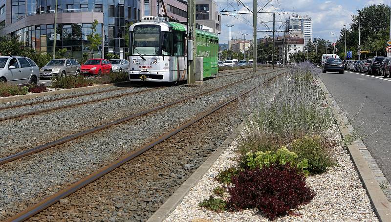 Veřejná zeleň podél tramvajového pásu a  prostoru mezi paneláky na třídě Kosmonautů.