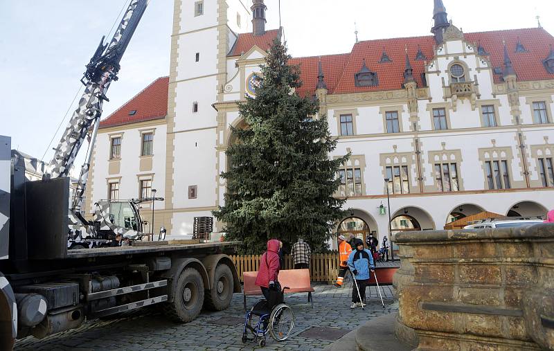 Vánoční strom pro Olomouc - příjezd a instalace na Horním náměstí - 22. listopadu 2020