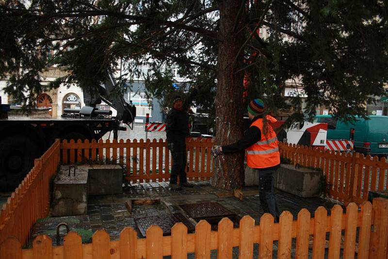 Stavění vánočního stromu na Horním náměstí v Olomouci