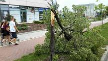 Následky čtvrteční odpolední bouřky v Olomouckém kraji