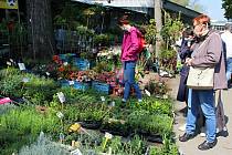 Zahradnické trhy na výstavišti Floře v Olomouci v květnu 2020, jarní Flora byla kvůli covidu zrušená