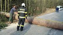 Radíkov. Neděle 18. března 2018. Následky silného větru