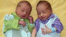 Oliver a Sebastian Strnadovi, Babice, narozeni 12. června ve Šternberku, míra 49 a 48 cm, váha 2500 a 2650 g