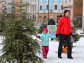 Druhá šance pro vánoční stromky na Horním náměstí v Olomouci