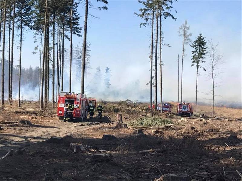 Požáry lesního a travního porostu zaměstnávaly hasiče v Olomouckém kraji