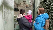 Zoo Olomouc, 18. dubna 2021