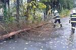 Odstraňováním následků silného větru v Olomouckém kraji.