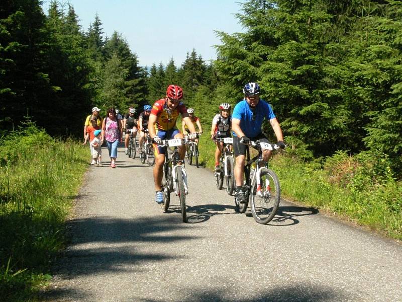 Bikepark v Koutech nad Desnou