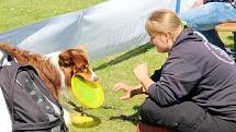 To nejlepší z Dogfrisbee jde o víkendu k vidění v Olomouci