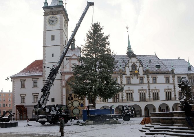 Kácení vánočního stromu v Olomouci - 8. ledna 2016