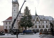 Kácení vánočního stromu v Olomouci - 8. ledna 2016