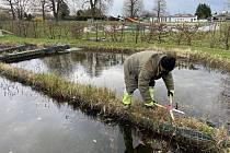 Přírodní koupací biotop v Litovli se chystá na letošní sezonu, 22. dubna 2021