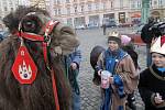Tři králové s velbloudem koledují na Horním náměstí v Olomouci