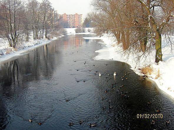 Z lávky u Hradiska. Únor 2012. Foto: Vítězslav Jahoda