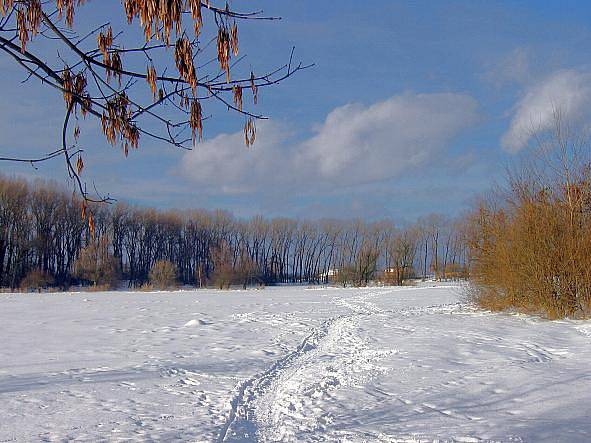 před Hlušovicemi. Únor 2012. Foto: Vítězslav Jahoda