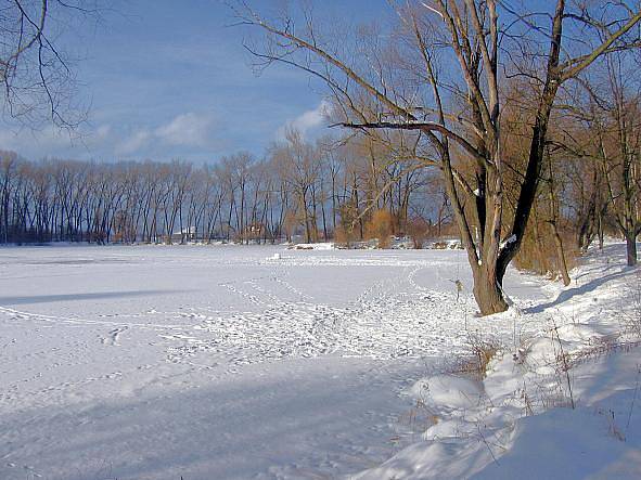 před Hlušovicemi. Únor 2012. Foto: Vítězslav Jahoda