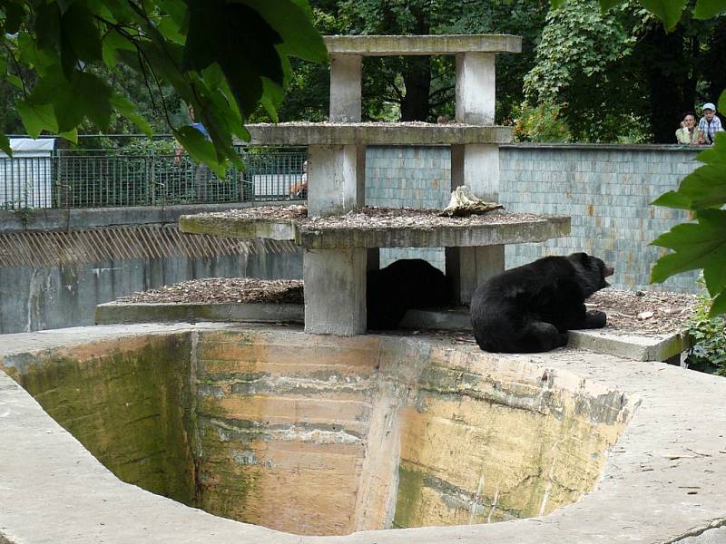 Zoo Ostrava: výběh medvědů