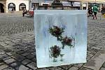 Ledová kostka na Horním náměstí v Olomouci láká na AFO i Floru