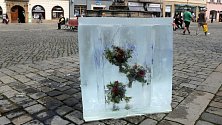 Ledová kostka na Horním náměstí v Olomouci láká na AFO i Floru