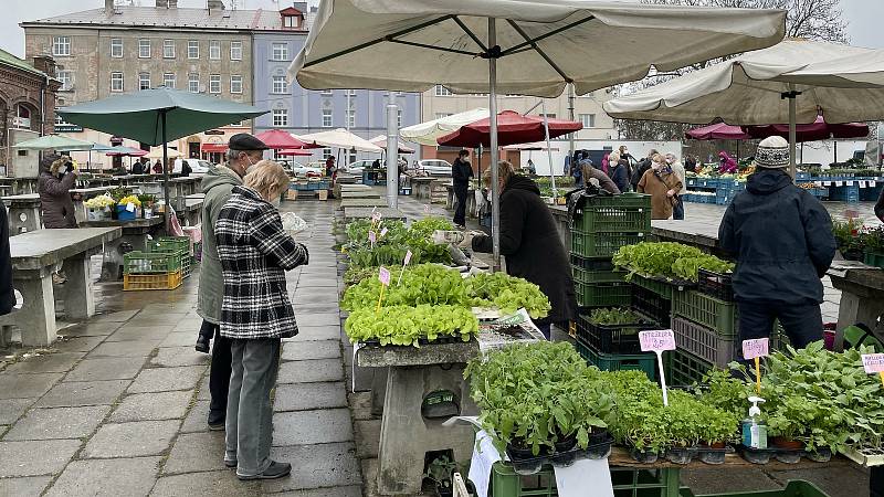 Sobotní trh v Olomouci, 17. dubna 2021