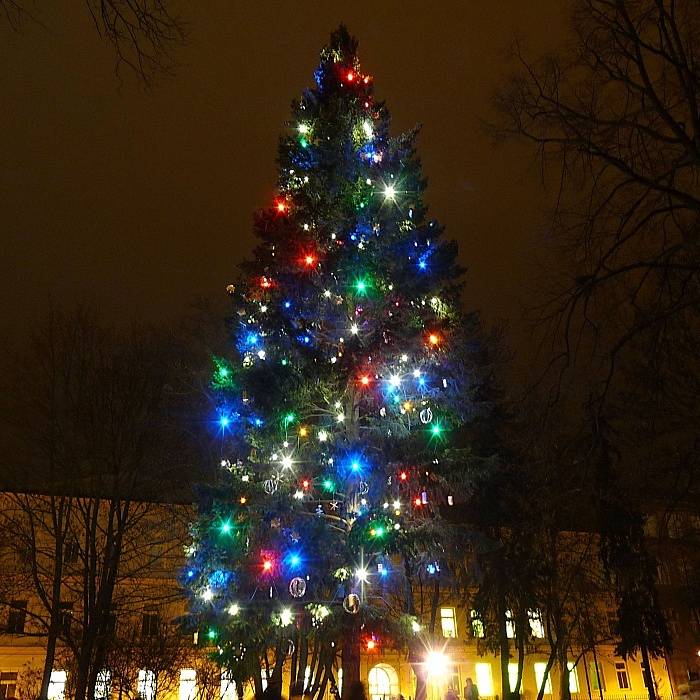 č.5 Olomouc-Řepčín, park ve Svatoplukově ulici, smrk, 20 metrů