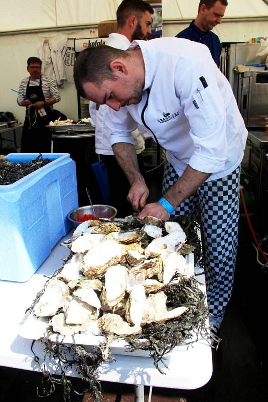 Stovky lidí zaplnily v sobotu Smetanovy sady Výstaviště Flora Olomouc. Přilákal je tam už druhý ročník dobrého jídla a pití Garden Food Festival.