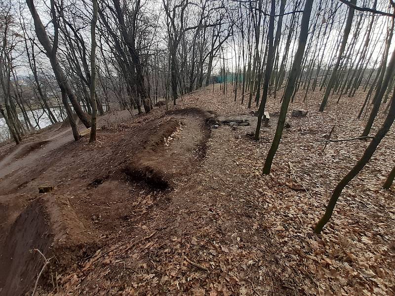 Neschválené "úpravy" lesa v Olomouci-Neředíně.