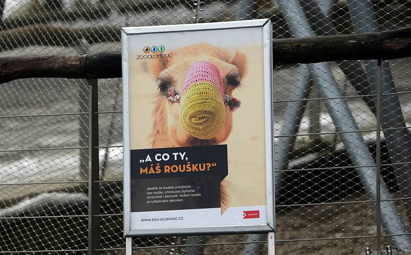 Uzavřená Zoo Olomouc na začátku února 2021