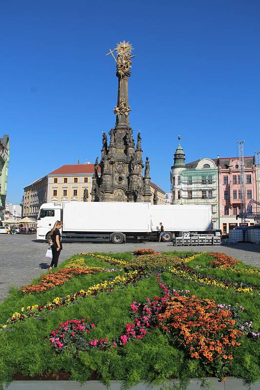 Květinový koberec na Horním náměstí v Olomouci