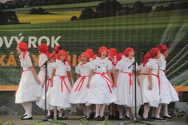 Tanečníci, zpěváci i muzikanti na Hané předvedli tradice, zvyky, písně a tance svých národů pro zástupy nadšených diváků