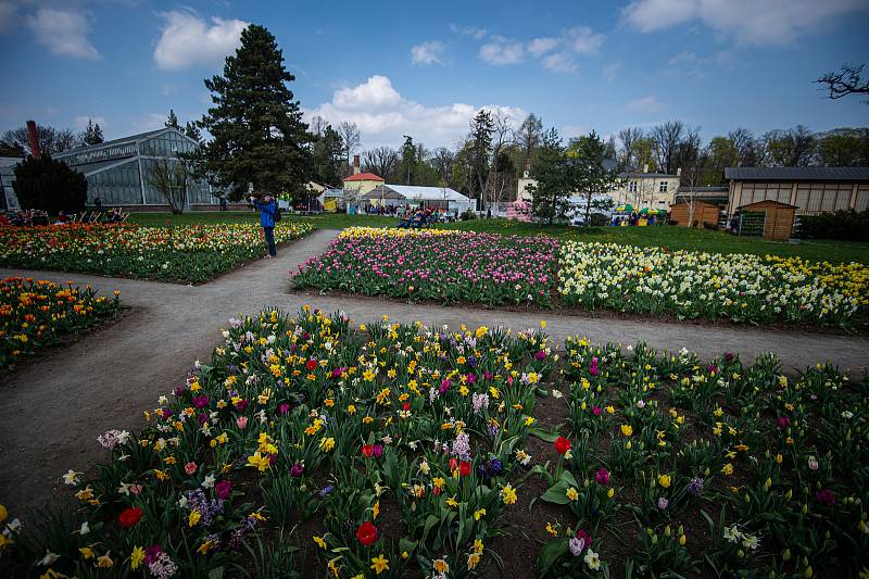 Jarní etapa květinové a zahradnické výstavy Flora Olomouc, 21. dubna 2022.