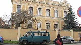 Mentálně postižené dostaly od města byt, Olomouc je zatím výjimka -  Olomoucký deník