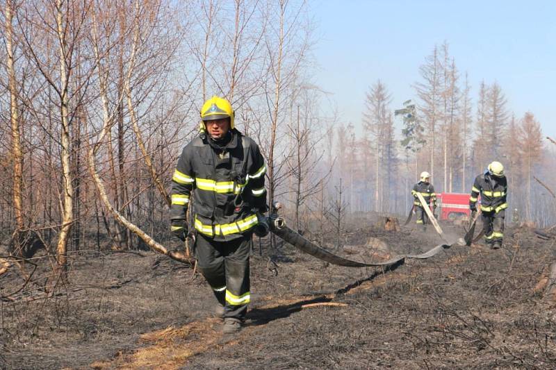 Požáry lesního a travního porostu zaměstnávaly hasiče v Olomouckém kraji