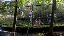 Olomoucká zoo na konci září 2019: po vichřici nové ohrady, opravený Lanáček a hromada vytěženého dřeva