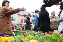Originální moučníky z tvarůžkové cukrárny, pečivo, ale třeba i ovocné stromky a růže nabídl v sobotu 13. dubna další z Venkovských trhů ve Šternberku na Olomoucku.