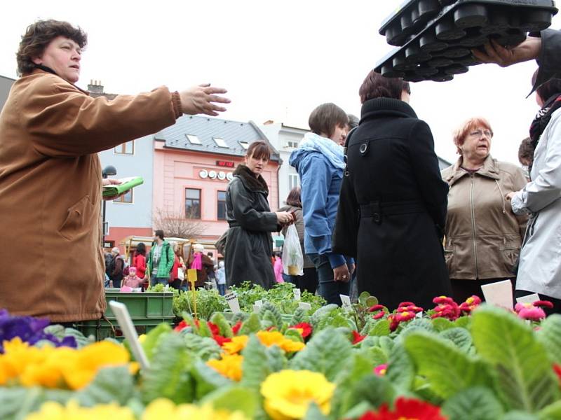 Originální moučníky z tvarůžkové cukrárny, pečivo, ale třeba i ovocné stromky a růže nabídl v sobotu 13. dubna další z Venkovských trhů ve Šternberku na Olomoucku.