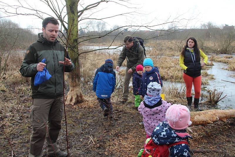 O životě bobrů, nejznámějších vodních hlodavců, se mohli v sobotu dozvědět spoustu zajímavostí návštěvníci ekologického centra Sluňákov v Horce nad Moravou na Olomoucku. Tato zvířata žijící v oblasti Litovelského pomoraví se jim sice neukázala, zájemci vš