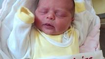 Adéla Řehulová, Libivá, narozena 17. dubna ve Šternberku, míra 50 cm, váha 3490 g