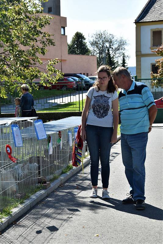 Okresní všeobecná výstava králíků, drůbeže a holubů v Senici na Hané, 21.-22. 9. 2019