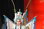 Soubor China Zhejiang Wu Opera Troupe předvedl úchvatnou show v Divadle na Šantovce. Přivítal tak příchod nového roku, který Čína slaví 5. února