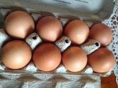 Drůbežárny v Česku chovají nejčastěji plemeno Hisex snášející hnědá vejce. O Velikonocích proto musejí prodejci dodat hospodyňkám na kraslice bílé vejce ze zahraničí. Většinou z Polska.