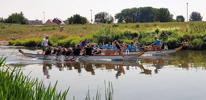 Dračí lodě od sobotního rána čeří vodu řeky Moravy u Dětského centra Ostrůvek na Nových Sadech v Olomouci.