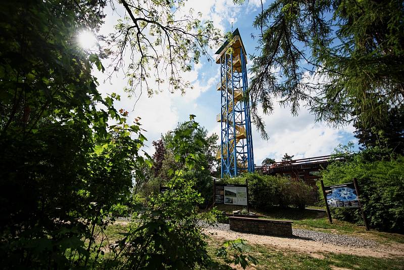 Hezké počasí a bezpočet čerstvě narozených mláďat jsou výzvou k procházce po zoo.